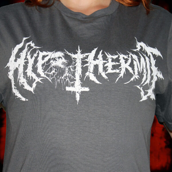 Hypothermie - Logo T-Shirt grau, unisex – Bild 2